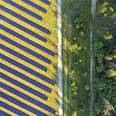 Impacto Ambiental SS Trevo Energia Renováveis