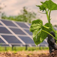 quais-os-beneficios-da-energia-solar-no-campo_